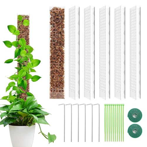 LangRay 6 Stück Moosstab für Monstera Rankhilfe Zimmerpflanze 24 Zoll / 61cm Pflanzenstab aus Kunststoff Stab Rankhilfen für Kletterpflanzen Pflanzstab Pflanzenstütze Kletterhilfe Moss Pole von LangRay