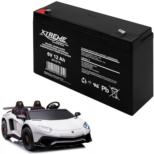 Xtreme Blei-Akku Gel Battery Lead Acid Battery Batterie Akku (6V 12Ah) von Lanjing
