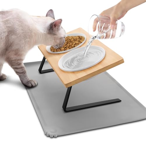 Lannvan Katzennapf Erhöht - Futternapf Katze aus Keramik - 15° Gekippte Futterstation Katzen Hundenapf mit Napfunterlage Silikon - 350ML Fressnapf und Wassernapf für Katzen und kleine Hunde Lannvan Katzennapf Erhöht - Futternapf Katze aus Keramik - 15° Gekippte Futterstation Katzen Hundenapf mit Napfunterlage Silikon - 350ML Fressnapf und Wassernapf für Katzen und kleine Hunde von Lannvan