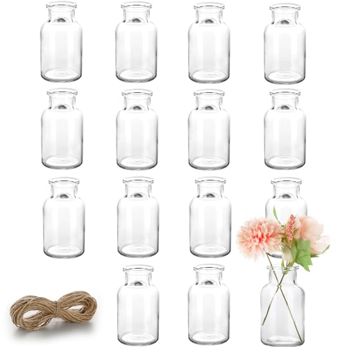 Lannvan Mini Glasvasen - 15er Set Kleine Vasen für Tischdeko Hochzeit - Deko Vasen Set mit Juteschnur - Kleine Glasvasen für Tischdeko - Verdicktes Anti Fall Glasvase - Spülmaschinenfest von Lannvan