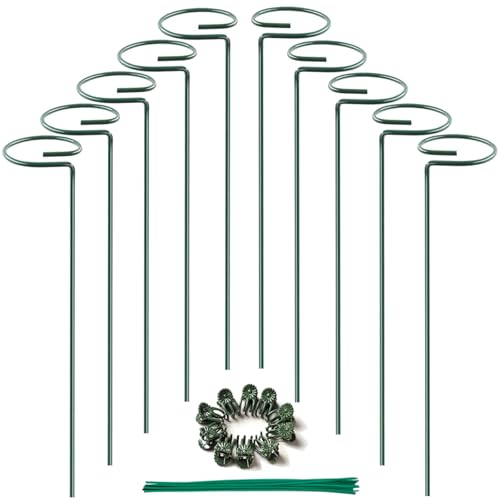 Lanovuto 10 Stück Pflanzenstütze, 40 cm Einzelstiel Metall Pflanzenhalter, Pflanzenstützpfahl mit 20 Pflanzenbindern und 10 Pflanzenclips, für Orchideen, Tomaten, Lilien, Pfingstrosen, Rosen von Lanovuto