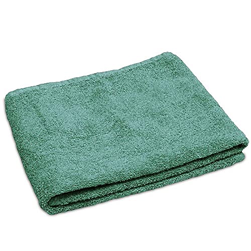 Lanudo® Luxus Handtuch 600g/m² Pure Line 50x100 cm mit Bordüre.100% feinste Frottier Baumwolle in höchster Qualität, Farbe:Mint-Grün von Lanudo