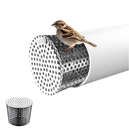 PVC-Abschlusskappe, Lüftungsgitterabdeckung aus Edelstahl 304, rundes, konisches Lüftungsgitter, verstopfungssicher, für Heizkessel, Abluft- und Abflussrohre, Dachaußenseite(5cm/1.96in) von Laohucai