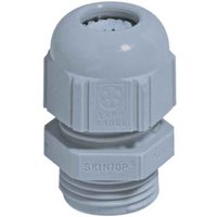 Lapp Zubehör Kabelverschraubung SKINTOP ST Pg13,5 R7001 SGY - 53015030 von Lapp Kabel Leitung