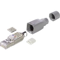 Lappkabel - lapp 21700540 Sensor-/Aktor-Datensteckverbinder Stecker, gerade Polzahl Sensoren: 8P8C 1 St. von LappKabel