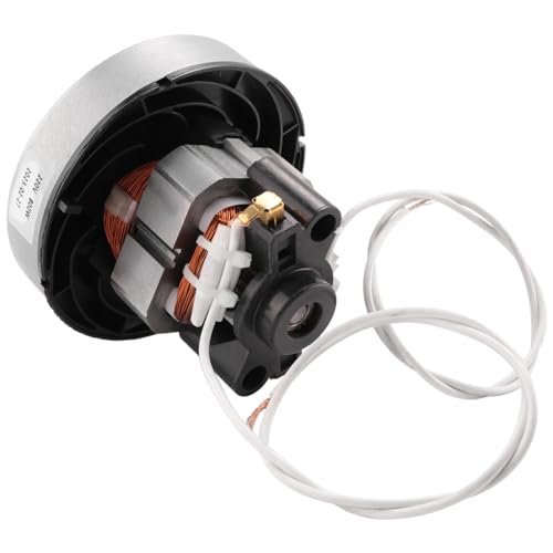 Lapyyne Passend für Staubsauger Motor ZubehöR QW12T-05A/05E -CG321 ZW1202 von Lapyyne
