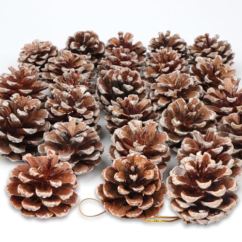 24 Stück Weihnachten Tannenzapfen Dekoration Natürliche Mini Hängen Schnee Kiefernzapfen Tannenzapfen Ornamente Set Mit Schnur zum Basteln für Weihnachtsbaum Herbst Winter Weihnachtsfeier DIY Basteln von Larber