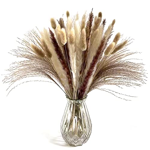 50 Stück Pampasgras Getrocknet Natürliche Trockenblumen Pampas Grass Flauschige Getrocknete Blumen Dried Flowers für Hochzeit Boho Deko Wohnzimmer Schlafzimmer Gartenhaus, Braun Weiß Lila, 42CM… von Larber