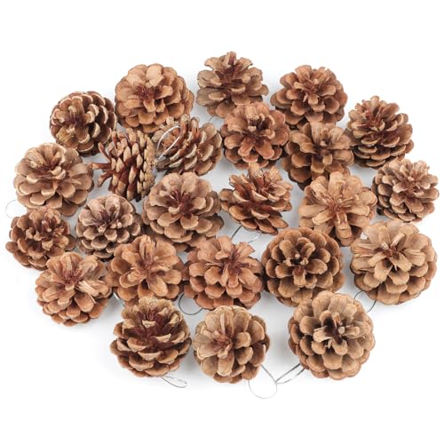 Larber 24 Stück Tannenzapfen Groß,5cm Kiefernzapfen mit Goldenem Schlüsselband, Zapfen Deko Weihnachten für Weihnachtsbaum,Winterdekoration (Sliver Seil) von Larber
