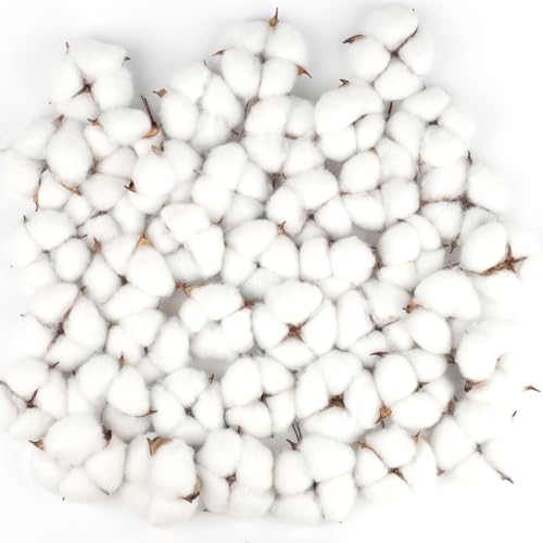 Larber 50 Stück Baumwolle Zweig Natürlich deko künstliche zweige Baumwolle Blumenkopf Getrocknete für die perfekte Hochzeit Blumen Arrangements Heim Decor DIY Dekoration Home Party von Larber