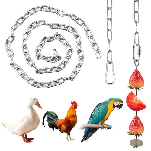 2 Stück Haken Hühner Futterautomat zum Aufhängen,Huhn Gemüse Obst Spieß,Obstgabel Aus Edelstahl für Huhn mit Häkchen,100CM Ketten geeignet als Hühner Spielzeug,Zubehör und Beschäftigung 2 Stück Haken Hühner Futterautomat zum Aufhängen,Huhn Gemüse Obst Spieß,Obstgabel Aus Edelstahl für Huhn mit Häkchen,100CM Ketten geeignet als Hühner Spielzeug,Zubehör und Beschäftigung von LaresDay