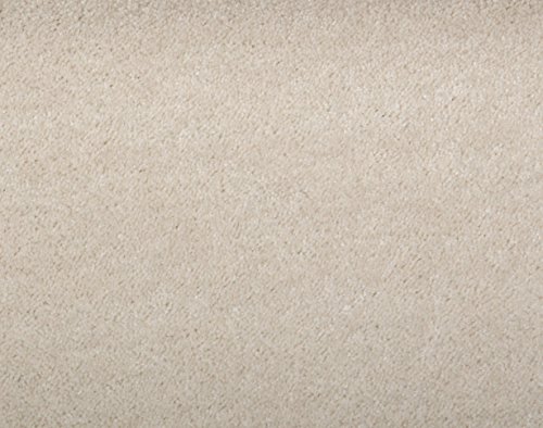 Teppichboden Shaggy Hochflorteppich Bodenbelag Auslegware Uni hellbeige 300 x 400 cm. Weitere Farben und Größen verfügbar von misento