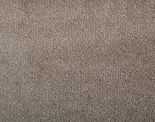 Teppichboden Shaggy Hochflorteppich Bodenbelag Auslegware Uni schlamm 300 x 400 cm. Weitere Farben und Größen verfügbar von misento