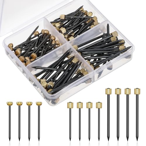 Nägel zum Aufhängen von Bildern, Wandnadeln zum Aufhängen von Bildern, zum Aufhängen von Nägeln für Wandkunst, dekoratives Nagelrahmen-Set, Hardware-Werkzeugaufhänger für Krallen, Trockenbaunägel (3 Nägel zum Aufhängen von Bildern, Wandnadeln zum Aufhängen von Bildern, zum Aufhängen von Nägeln für Wandkunst, dekoratives Nagelrahmen-Set, Hardware-Werkzeugaufhänger für Krallen, Trockenbaunägel (3 von Larrel