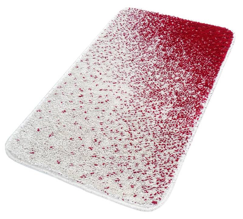 Lashuma Badematte Ibisco, Höhe 10 mm, strapazierfähig, Polypropylen, rechteckig, Bad Vorleger rechteckig, Duschteppich 50 x 80 cm Lashuma Badematte Ibisco, Höhe 10 mm, strapazierfähig, Polypropylen, rechteckig, Bad Vorleger rechteckig, Duschteppich 50 x 80 cm von Lashuma