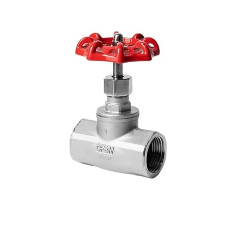 1pc 304 Edelstahl Innengewinde Globe Ventil J11W-16P Draht Schnalle B Typ DN15 20 25 32 50(DN15,316Lmaterial quality) von Lasitech