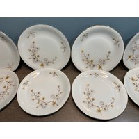 Vintage Set Von 8 Floral Apfelblüte Porzellan Winterling Bayern Deutschland 78 Teller von LastWordThreads