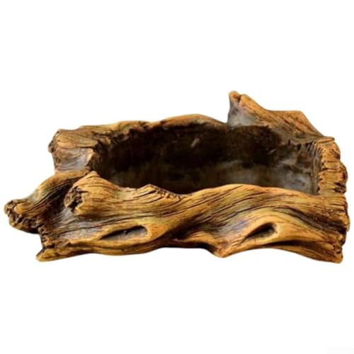 Skurriler Zementblumentopf für einen Hauch von Natur in Ihren Wohnraum (Stil 4) von Lastdaytime