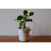 Emaillierter Ausgusstopf Geschirr Küchenutensil 40Er Jahre Topf Dänemark Glud & Marstrand Copenhagen Denmark Stiftetopf Blumentopf Deko von Latelierbellelurette