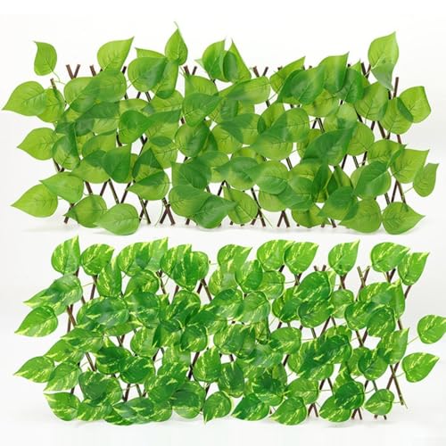 Erweiterbarer grüner Laubwandzaun, einziehbarer Teleskop-Sichtschutz (1#) von LatoYard