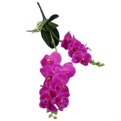 Wunderschönes Orchideen-Arrangement für festliche Feiern und Versammlungen (lila) von LatoYard