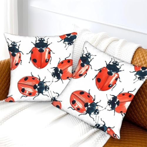 Latwerio 3D Kissenbezug 40x40 cm Rot Mikrofaser Kissenbezüge Marienkäfer Dekorative Kissenbezug Kissenhülle 2er Set für Sofa Couch Auto Schlafzimmer Zuhause Outdoor Deko Pillowcase 2 Stück D767 von Latwerio