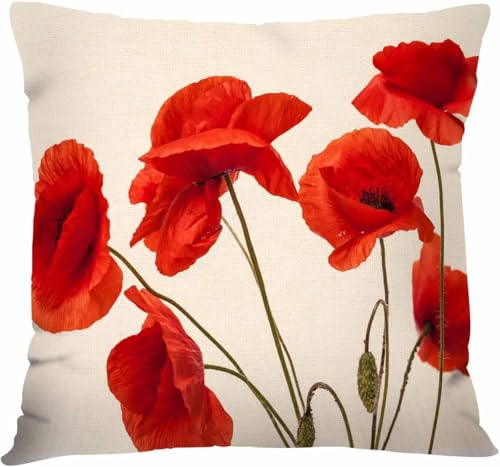 Latwerio 3D Kissenbezug 55x55 cm Mohnblume Mikrofaser Kissenbezüge Anlage Dekorative Kissenbezug Kissenhülle 2er Set für Sofa Couch Auto Schlafzimmer Zuhause Outdoor Deko Pillowcase 2 Stück D1933 Latwerio 3D Kissenbezug 55x55 cm Mohnblume Mikrofaser Kissenbezüge Anlage Dekorative Kissenbezug Kissenhülle 2er Set für Sofa Couch Auto Schlafzimmer Zuhause Outdoor Deko Pillowcase 2 Stück D1933 von Latwerio