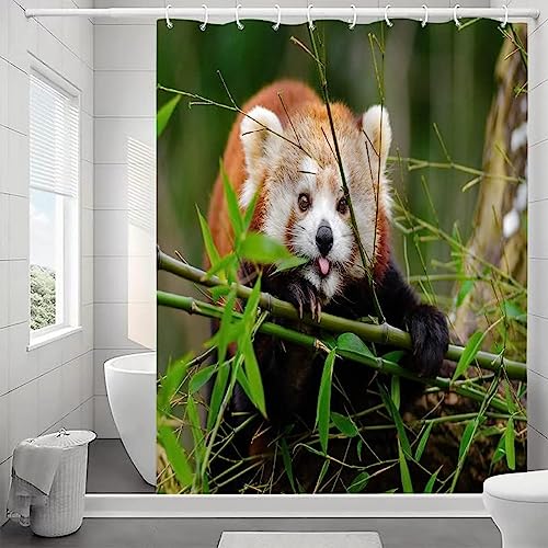 Latwerio 3D Duschvorhang 180x180 Roter Panda Duschvorhänge Antischimmel Wasserdicht Badevorhang Roter Panda Duschrollo für Badewanne Dusche Shower Curtains, 12 Duschvorhang Ringe von Latwerio