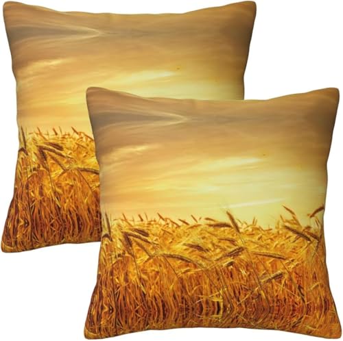 Latwerio 3D Kissenbezug 40x40 cm Weizenfeld Mikrofaser Kissenbezüge Stroh Dekorative Kissenbezug Kissenhülle 2er Set für Sofa Couch Auto Schlafzimmer Zuhause Outdoor Deko Pillowcase 2 Stück C227 von Latwerio