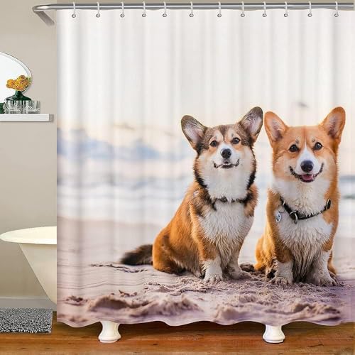 Latwerio Duschvorhang Corgi 3D Duschvorhang Antischimmel 120 x 200 cm Tier Badezimmer Vorhang Wasserdicht Duschvorhänge Waschbar Bad Vorhäng für Badewanne mit 8 Haken W3407 Latwerio Duschvorhang Corgi 3D Duschvorhang Antischimmel 120 x 200 cm Tier Badezimmer Vorhang Wasserdicht Duschvorhänge Waschbar Bad Vorhäng für Badewanne mit 8 Haken W3407 von Latwerio