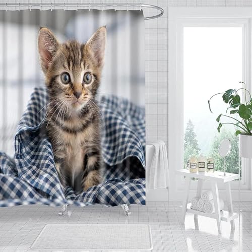 Latwerio Duschvorhang Katze 3D Duschvorhang Antischimmel 120 x 200 cm Tier Badezimmer Vorhang Wasserdicht Duschvorhänge Waschbar Bad Vorhäng für Badewanne mit 8 Haken V1095 Latwerio Duschvorhang Katze 3D Duschvorhang Antischimmel 120 x 200 cm Tier Badezimmer Vorhang Wasserdicht Duschvorhänge Waschbar Bad Vorhäng für Badewanne mit 8 Haken V1095 von Latwerio
