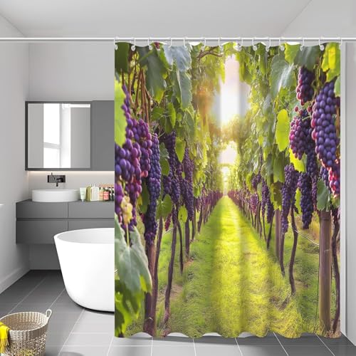 Latwerio Duschvorhang Traube 3D Duschvorhang Antischimmel 240x200 cm Obstpflanzen Badezimmer Vorhang Wasserdicht Duschvorhänge Waschbar Bad Vorhäng für Badewanne mit 12 Haken W2340 von Latwerio