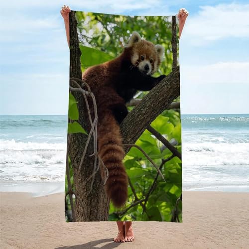 Latwerio Strandtuch Roter Panda, 3D Handtuch Roter Panda Badetücher, Absorbierendem Strandtuch Mikrofaser Weich Badetuch für Camping Fitnessstudio Reise Strandhandtuch 70x150 cm A710 von Latwerio