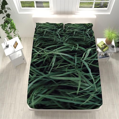 Spannbettlaken 140x200 cm Grüne Blätter Weiches Mikrofaser 3D Bettlaken Spannbetttuch für Kinder Erwachsene, Pflanze Bettlaken 140x200 Tiefe Tasche 30 cm Mit 2 Kissenbezügen 80x80 cm S929 Spannbettlaken 140x200 cm Grüne Blätter Weiches Mikrofaser 3D Bettlaken Spannbetttuch für Kinder Erwachsene, Pflanze Bettlaken 140x200 Tiefe Tasche 30 cm Mit 2 Kissenbezügen 80x80 cm S929 von Latwerio