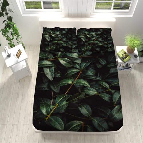 Spannbettlaken 160x200 cm Pflanzen Weiches Mikrofaser 3D Bettlaken Spannbetttuch für Kinder Erwachsene, Grüne Blätter Bettlaken 160x200 Tiefe Tasche 30 cm Mit 2 Kissenbezügen 80x80 cm S1322 von Latwerio