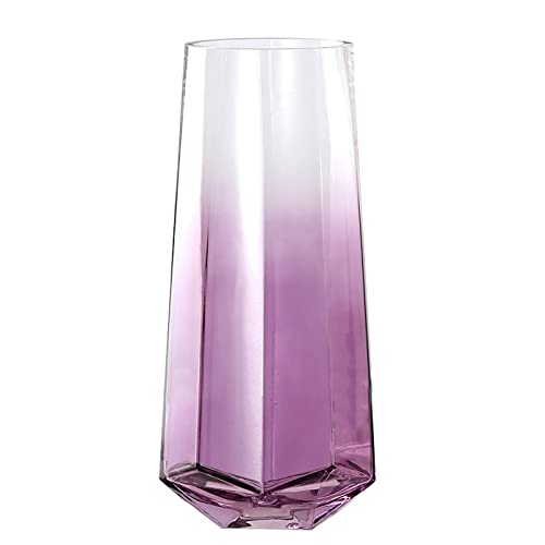 Laughhe Glasvase, Kristallklar Durchscheinend Vasen 25cm Hoch Blumenpflanze Knospenvasen, Blumenvase Schwere Glasblumenvase Dekorative Vase für Zuhause Büro Dekor (Lila) von Laughhe