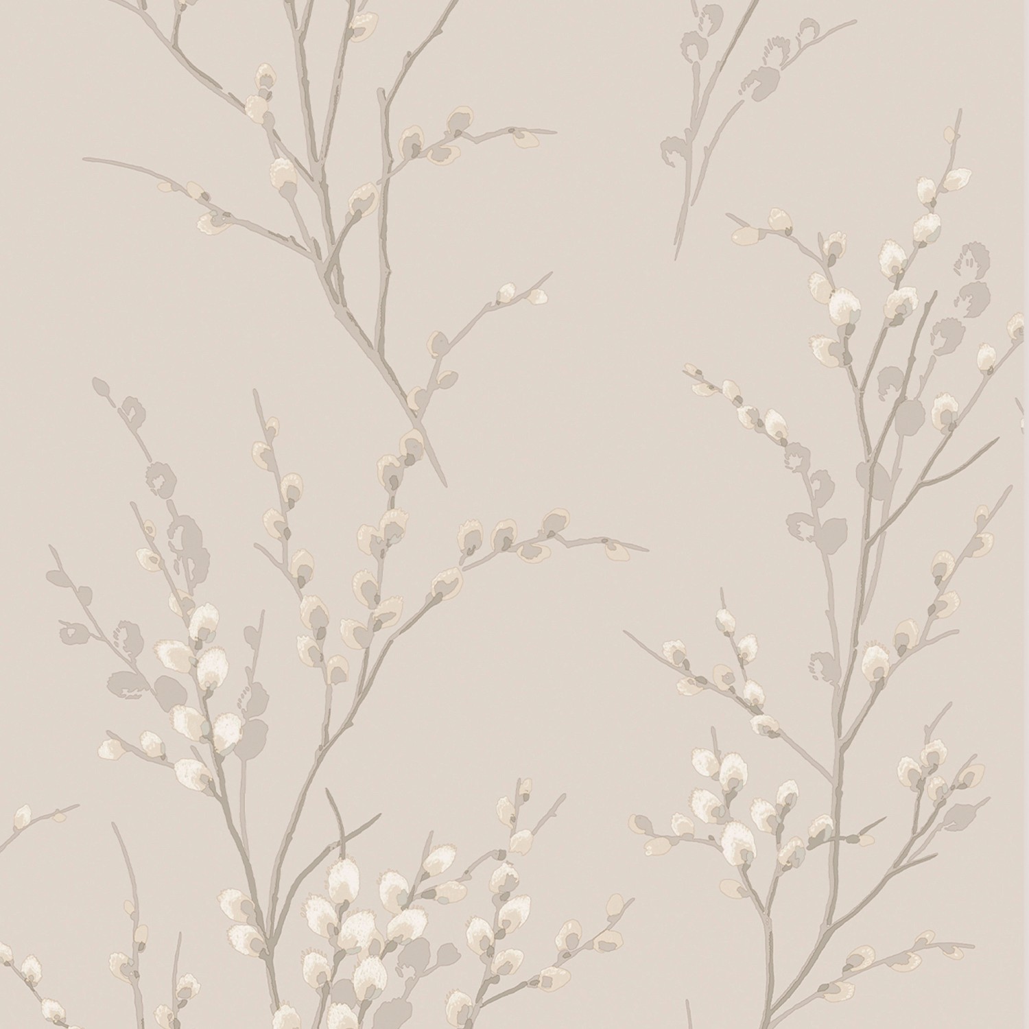 Laura Ashley Vliestapete Pussy Willow Dove Grey 10,05 x 0,52 m von Laura Ashley