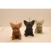 Kleine Chihuahua Kerze | 7cm Little Candle Geschenkidee Deko von LaurasKreativstube