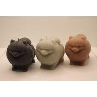 Kleine Pomeranian Zwergspitz Kerze | 8cm Little Pom Candle Geschenkidee Deko Kleine Pomeranian Zwergspitz Kerze | 8cm Little Pom Candle Geschenkidee Deko von LaurasKreativstube