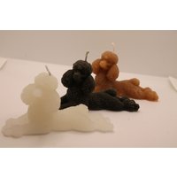 Liegender Pudel Kerze | 5, 5 X 11cm Lying Down Dog Candle Geschenkidee von LaurasKreativstube