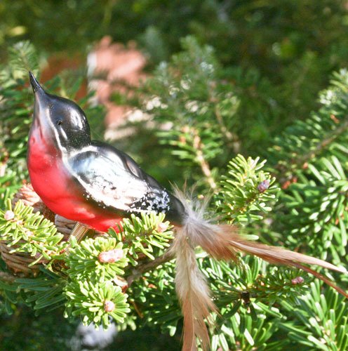 Lauschaer Glaskunst-Christbaumkugel Dompfaff mit Klammer - 3 Stück von Lauschaer Glaskunst-Christbaumkugel