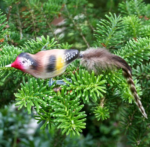 Lauschaer Glaskunst-Christbaumkugel Stieglitz mit Klammer - 3 Stück, Glas, Klassisch, Vogel, Weihnachtsbaumschmuck, Christbaumkugel Lauschaer Glaskunst-Christbaumkugel Stieglitz mit Klammer - 3 Stück, Glas, Klassisch, Vogel, Weihnachtsbaumschmuck, Christbaumkugel von Lauschaer Glaskunst-Christbaumkugel