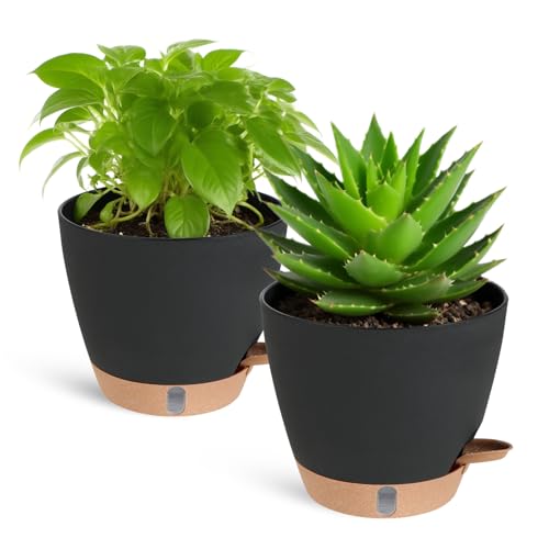Lauviomify Blumentopf Selbstbewässerungstopf 2er Set - Pflanztopf 20.3×12.7×17.8 cm mit Sichtbarem Wasserstand & Wasserspeicher - Blumentöpfe Balkon Garten (Schwarz-Braun) von Lauviomify