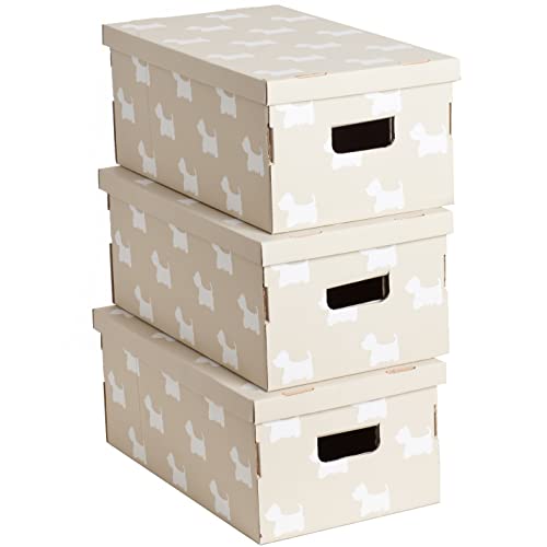 Kanguru HUNDCHEN Aufbewahrungsboxen aus Karton, Geschenkboxen aus pappe mit Deckel, FSC-Zertifiziertem Papier 100% recycelbar, BEIGE, 1 Meters, 3, 29x51x20cm von Lavatelli