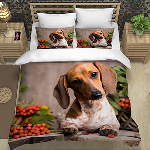 Bettwäsche Set 135x200 4teilig Dackel Bettbezug Haustiere Tier Hund Dekor Betten Set Mikrofaser Bettwaren,mit Reißverschluss für Jungen Mädchen Kinder Erwachsene+2 Kissenbezug von Lavnox