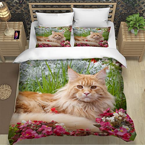 Maine-Coon-Katze Kinder Bettwäsche 155x220 3teilig für Jungen Mädchen Tier Hund 3D Druck Bettbezug Sets Haustiere Weiche kuschelig Mikrofaser Betten Set+2 Kissenbezüge 80x80,Sommer von Lavnox