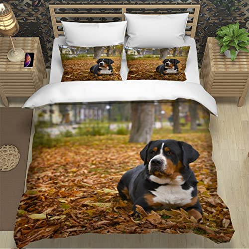 Schweizer Sennenhund Kinder Bettwäsche 135x200 2teilig für Jungen Mädchen Tier Hund 3D Druck Bettbezug Sets Haustiere Weiche kuschelig Mikrofaser Betten Set+2 Kissenbezüge 80x80,Sommer von Lavnox