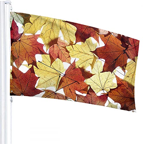 Autumn Leaves Flag 3x5 FT Fall Nature Tree Plant Maple Leaf Outdoor Flags Large Welcome Yard Banners Home Garden Yard Lawn Decor von Lawenp