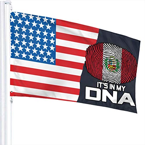 Flagge 3 x 5 Peru It's In My DNA 100% Polyester einlagige durchscheinende Flaggen 90 x 150 cm – Banner 3' x 5' von Lawenp