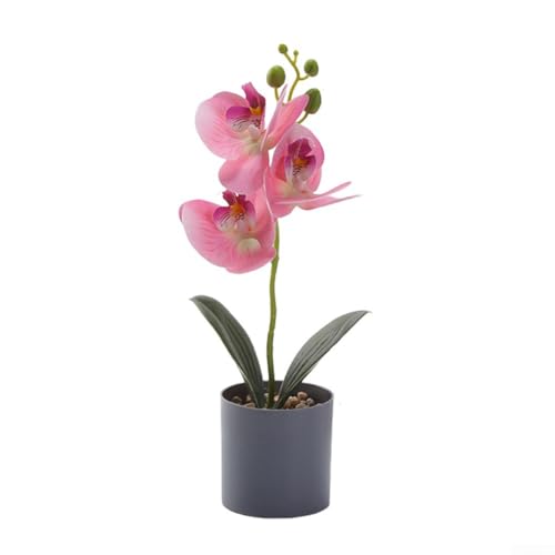 Charmante künstliche Orchidee im Topf, ein perfektes dekoratives Stück für Ihren Schreibtisch, Regal oder Wohnraum (Rosa) von Lawnoval